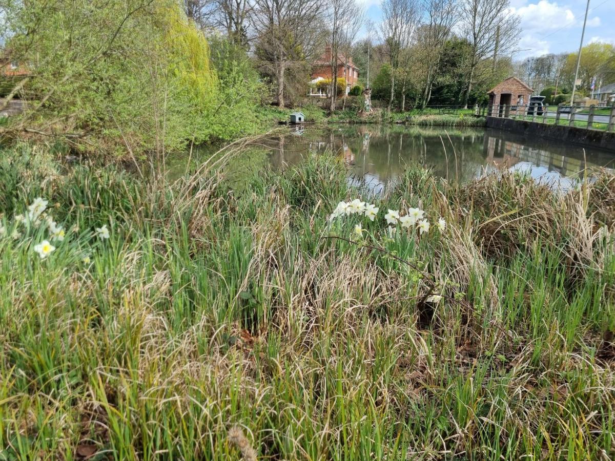 Gorgeous 1 Bed Apartment In Wetwang Driffield Kültér fotó